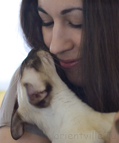 Астерикс и Настя