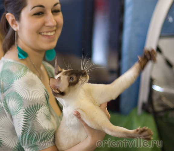 Вооот такой кубок хочу!