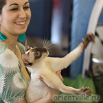 Вооот такой кубок хочу!