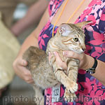 Дива на судействе Надежды Флегонтовой