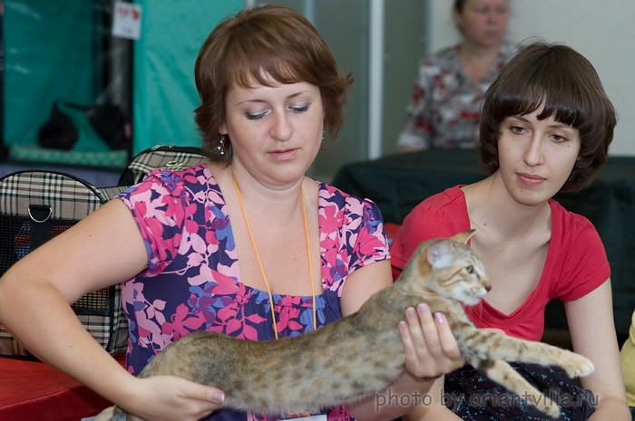 Подготовка к показу