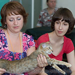 Подготовка к показу