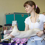 Показываемся зрителям