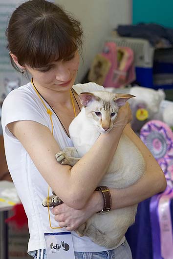 Обнимашечки, пока идет подсчет голосов