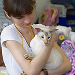 Обнимашечки, пока идет подсчет голосов