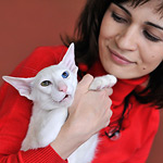 Я и Гендальф