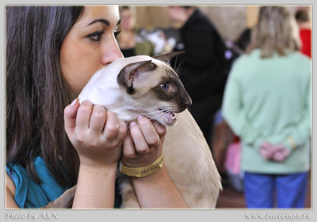 Астерикс и Настя