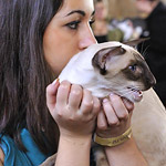 Orientville's Asterix. 2 years