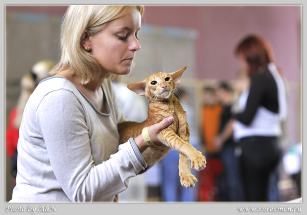 Jaguar Luana&Vodoley*RU