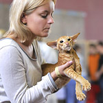 Jaguar Luana&Vodoley*RU