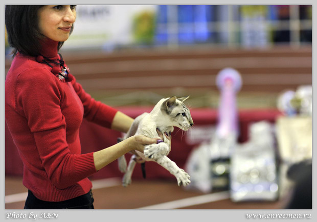 Okonor Igur of en Reemen