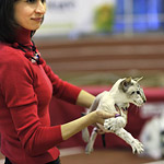 Okonor Igur of en Reemen