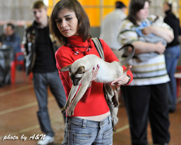 Я и Астерикс