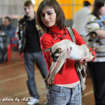 Я и Астерикс