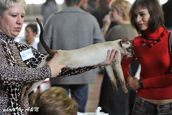 Судейство Рикса