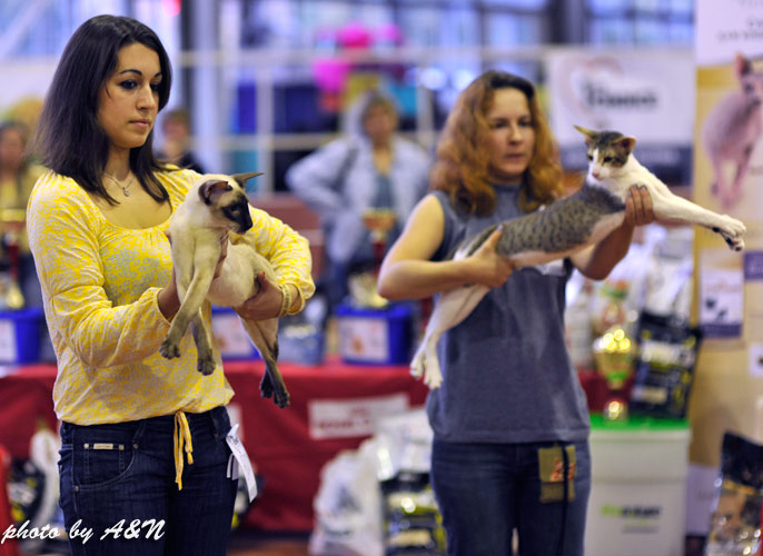 Астерикс и Настя на бесте