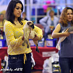 Астерикс и Настя на бесте