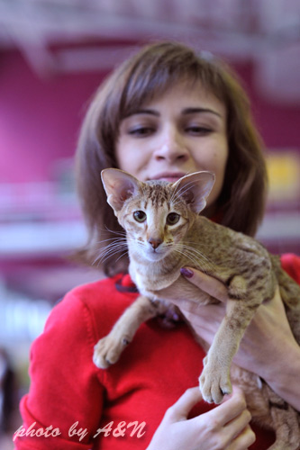 Фиона и я. Позируем