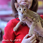 Фиона и я. Позируем