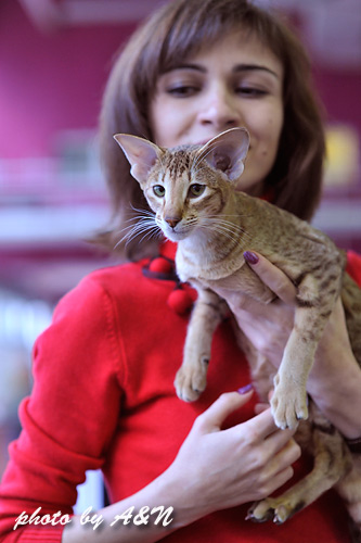 Фиона и я. Позируем