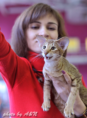 Фиона и я. Позируем