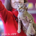 Фиона и я. Позируем