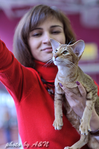 Фиона и я. Позируем