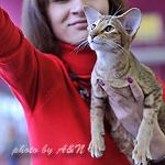 Фиона и я. Позируем