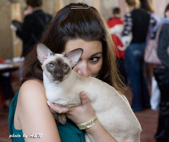 Астерикс и Настя