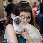 Orientville's Asterix. 2 years