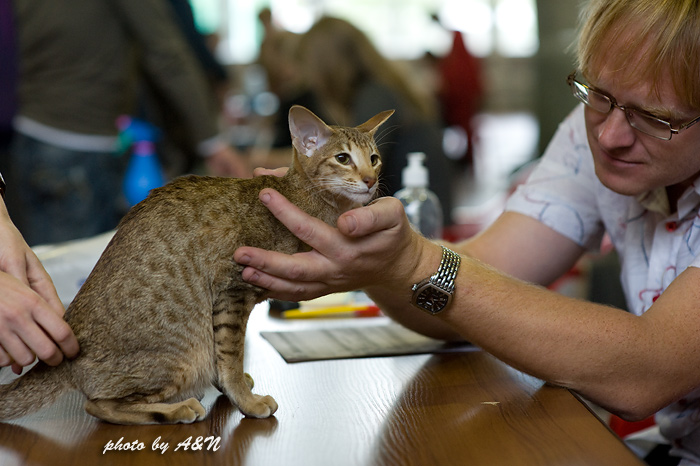 Фиона на экспертизе