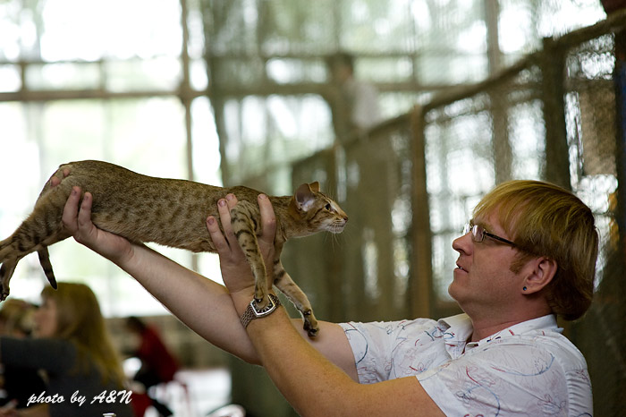 Фиона на экспертизе
