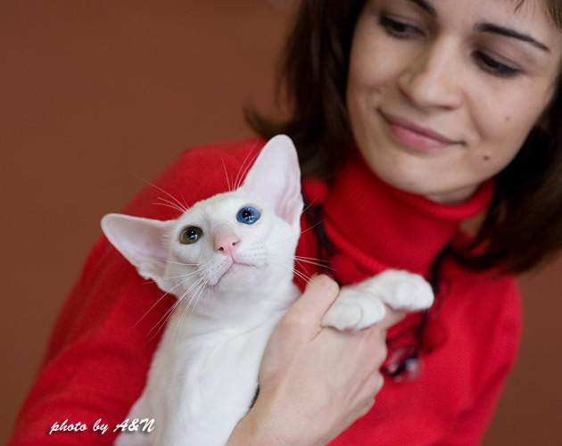 Я и Гендальф