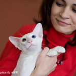 Я и Гендальф