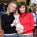 Я, Света и Гендальф