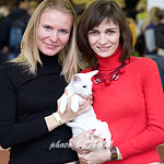 Я, Света и Гендальф