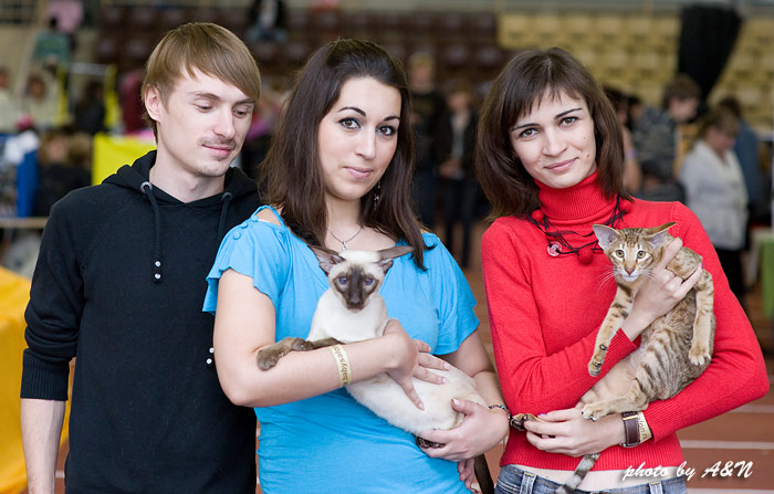 Астерикс, Настя и Игорь