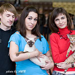 Астерикс, Настя и Игорь