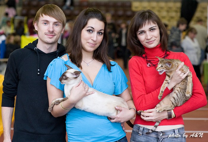 Астерикс, Настя и Игорь