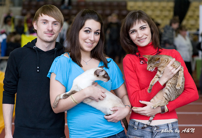 Астерикс, Настя и Игорь