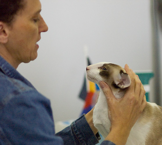 Zodiac Capri Happy Jungle*RU