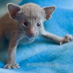 Orientville's Imhotep 24 дня