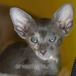 Orientville's Helen 44 дня