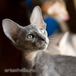 Helen 2,5 месяца