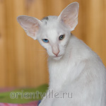 Гайка, 2,5 месяца