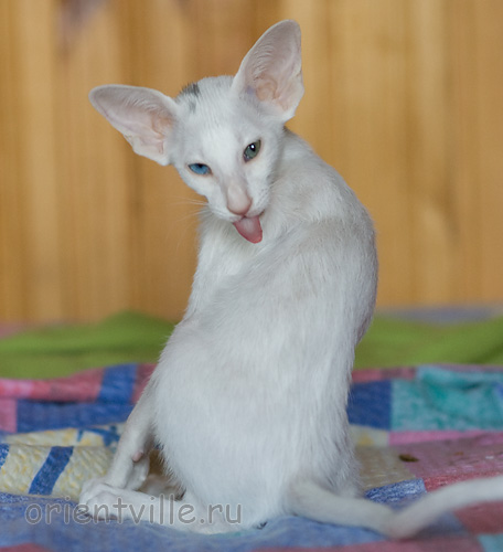 Гайка, 2,5 месяца