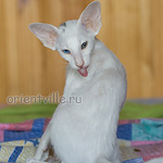 Гайка, 2,5 месяца