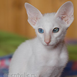 Hitch 2,5 месяца