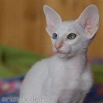 Hitch 2,5 месяца