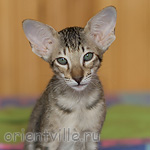 Гера 2,5 месяца